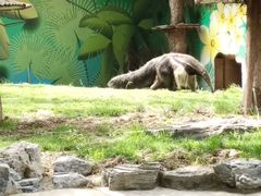 -北京野生动物园