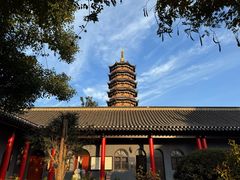 -葛仙湖公园