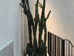 -大树餐厅(红旗街万达店)