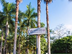 -深圳湾公园(南山区)