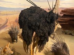 -陕西自然博物馆