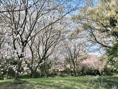 -苏州上方山国家森林公园
