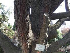 DSCF2377-南京西康宾馆