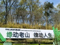 -老山国家森林公园