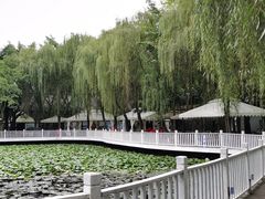 -巴山一绝烤全羊(三圣乡刘家花园店)