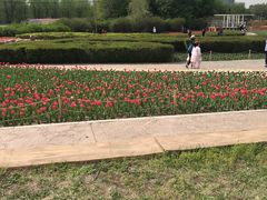 -长春公园(普阳街道)