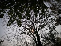 -西北湖绿化广场