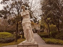-蠡湖中央公园