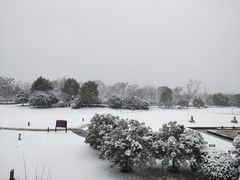 -徐州绿地皇冠假日酒店-汉宫中餐厅