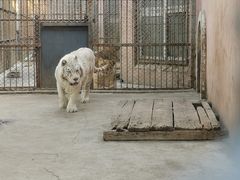 -哈尔滨北方森林动物园