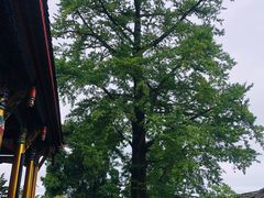 -金堂县云顶石城风景区