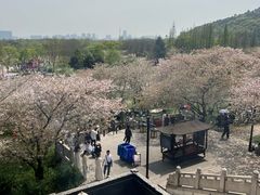 -苏州上方山国家森林公园