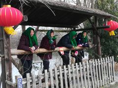 -溱湖国家湿地公园