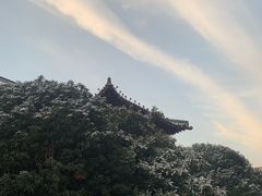 -南京钟山宾馆(江苏省会议中心)