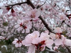 -北宫国家森林公园