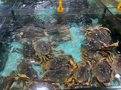 -东江渔村(皇悦店)