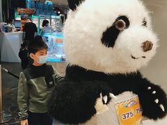-反斗乐园π·电玩·高空拓展·蹦床(龙华天虹店)