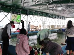 -光头佬钓虾场·烧烤·聚餐·亲子(金沙洲店)