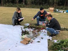 -前小桔亲子创意农场·草莓采摘·露营烧烤