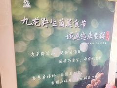 -九龙大酒店·金牌楚菜(武泰闸店)
