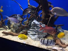 -烟台海昌鲸鲨海洋公园