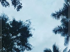 -深圳博林圣海伦酒店