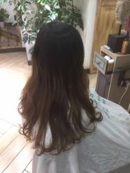 中发-渼树MSUTREE连锁沙龙