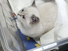 -美联众合动物医院·24h转诊中心