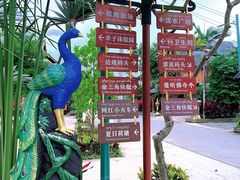 -西双版纳傣族园