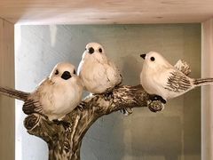 -ZING COFFEE 镜咖啡