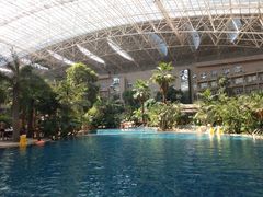 -秦皇岛乐岛海洋王国