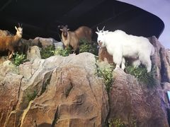 -陕西自然博物馆