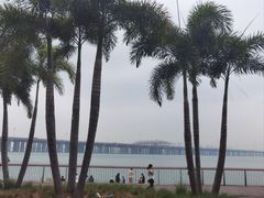 -深圳湾公园(南山区)