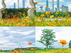 -海珠湖公园
