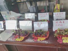 -马陆小张葡萄园农家乐