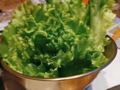 -杨记齐齐哈尔烤肉(总店)