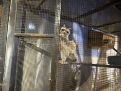 -酷嗒动物文化乐园(cutezoo西溪乐天城店)