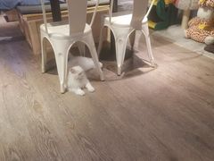 -小时光咖啡馆(开森度假森林店)