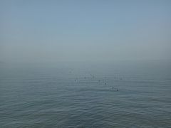 -兴城海滨风景区