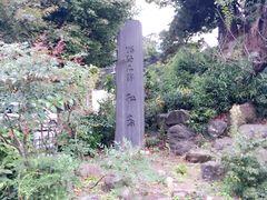 -松岛