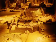 -洛阳周王城天子驾六博物馆