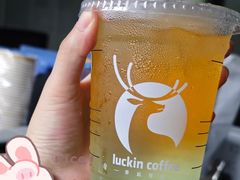 -瑞幸咖啡(南京六合阿尔卡迪亚店)