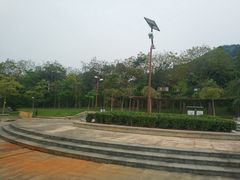 -风云岭森林公园