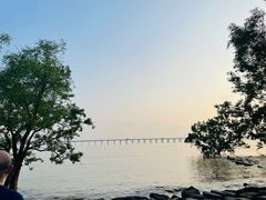 -宝安西湾红树林湿地公园