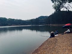 -青龙山国家森林公园
