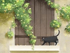 -虹桥机场V2贵宾休息室