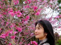 -天适樱花悠乐园