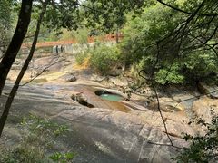 -广州白江湖森林公园