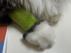 -谐和贝康宠物医院24小时·宠保定点(急重症转诊中心)