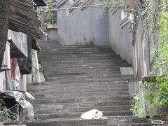 -古道第一家餐馆